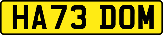 HA73DOM