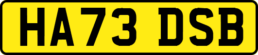 HA73DSB