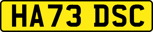 HA73DSC
