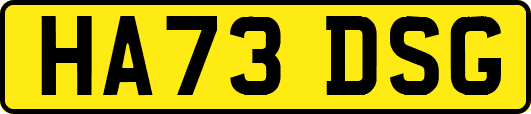 HA73DSG