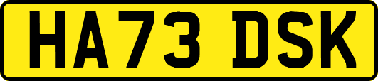 HA73DSK