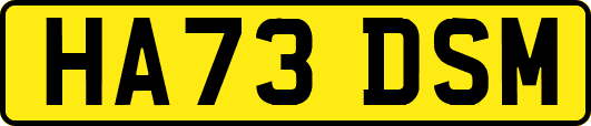 HA73DSM