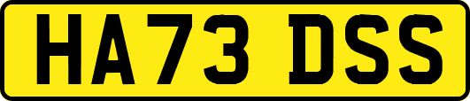 HA73DSS