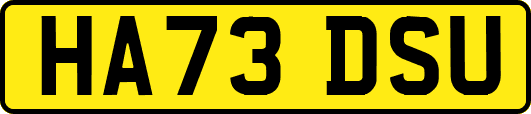HA73DSU