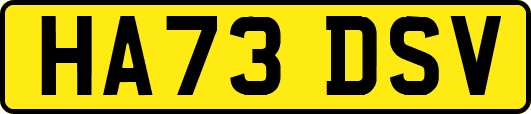 HA73DSV