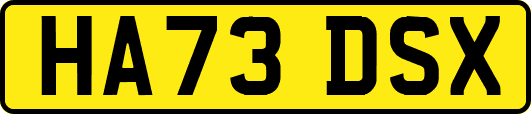 HA73DSX
