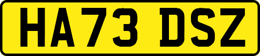 HA73DSZ