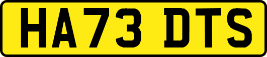HA73DTS
