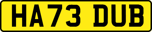 HA73DUB