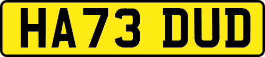 HA73DUD