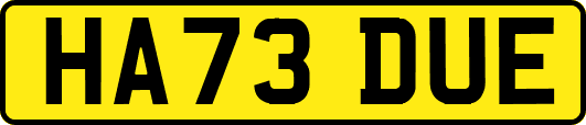 HA73DUE