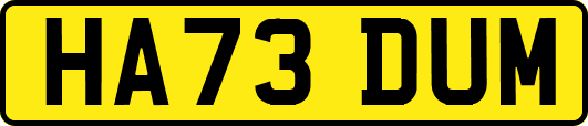 HA73DUM