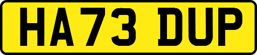 HA73DUP