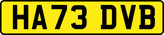 HA73DVB