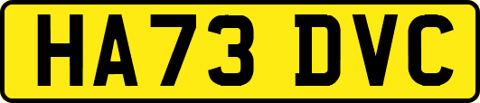 HA73DVC