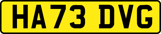HA73DVG