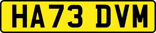 HA73DVM