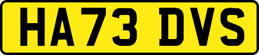 HA73DVS