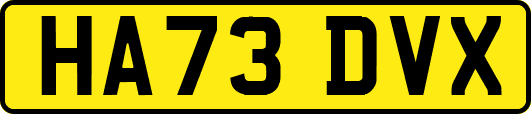 HA73DVX
