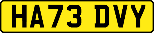 HA73DVY