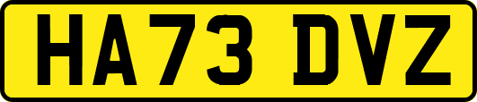 HA73DVZ