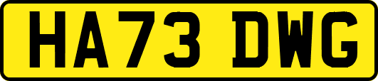 HA73DWG