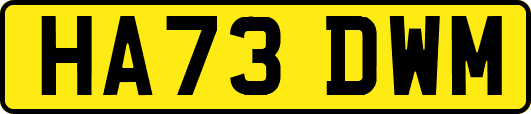 HA73DWM