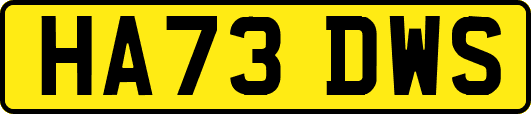 HA73DWS