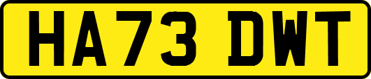 HA73DWT