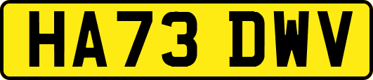 HA73DWV