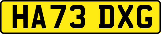 HA73DXG
