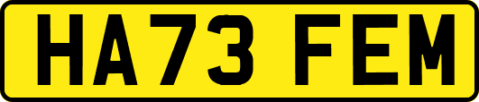 HA73FEM