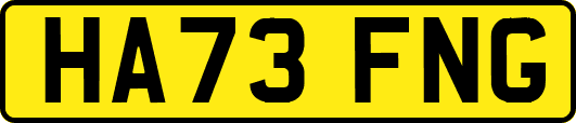 HA73FNG