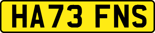 HA73FNS