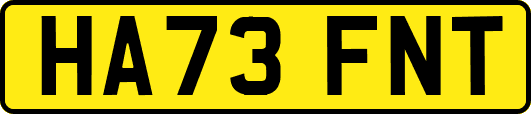 HA73FNT