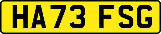 HA73FSG