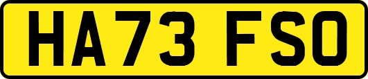 HA73FSO
