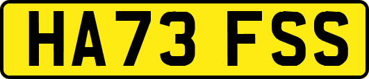 HA73FSS