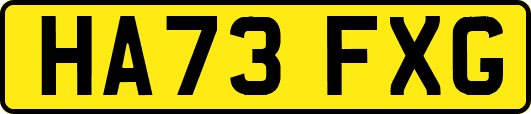 HA73FXG