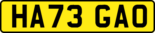 HA73GAO