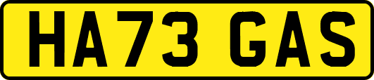 HA73GAS
