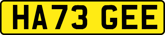 HA73GEE