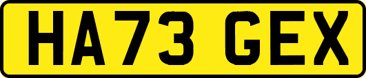 HA73GEX