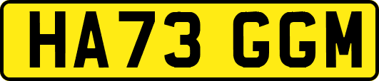 HA73GGM