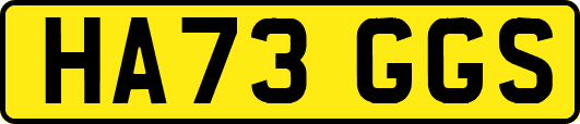 HA73GGS