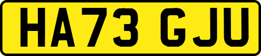 HA73GJU