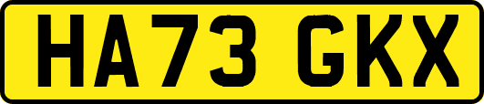 HA73GKX