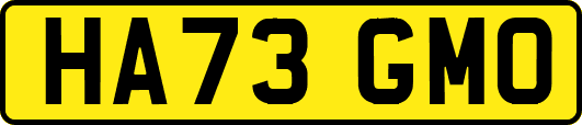 HA73GMO