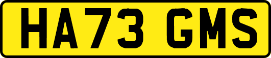 HA73GMS