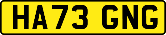HA73GNG